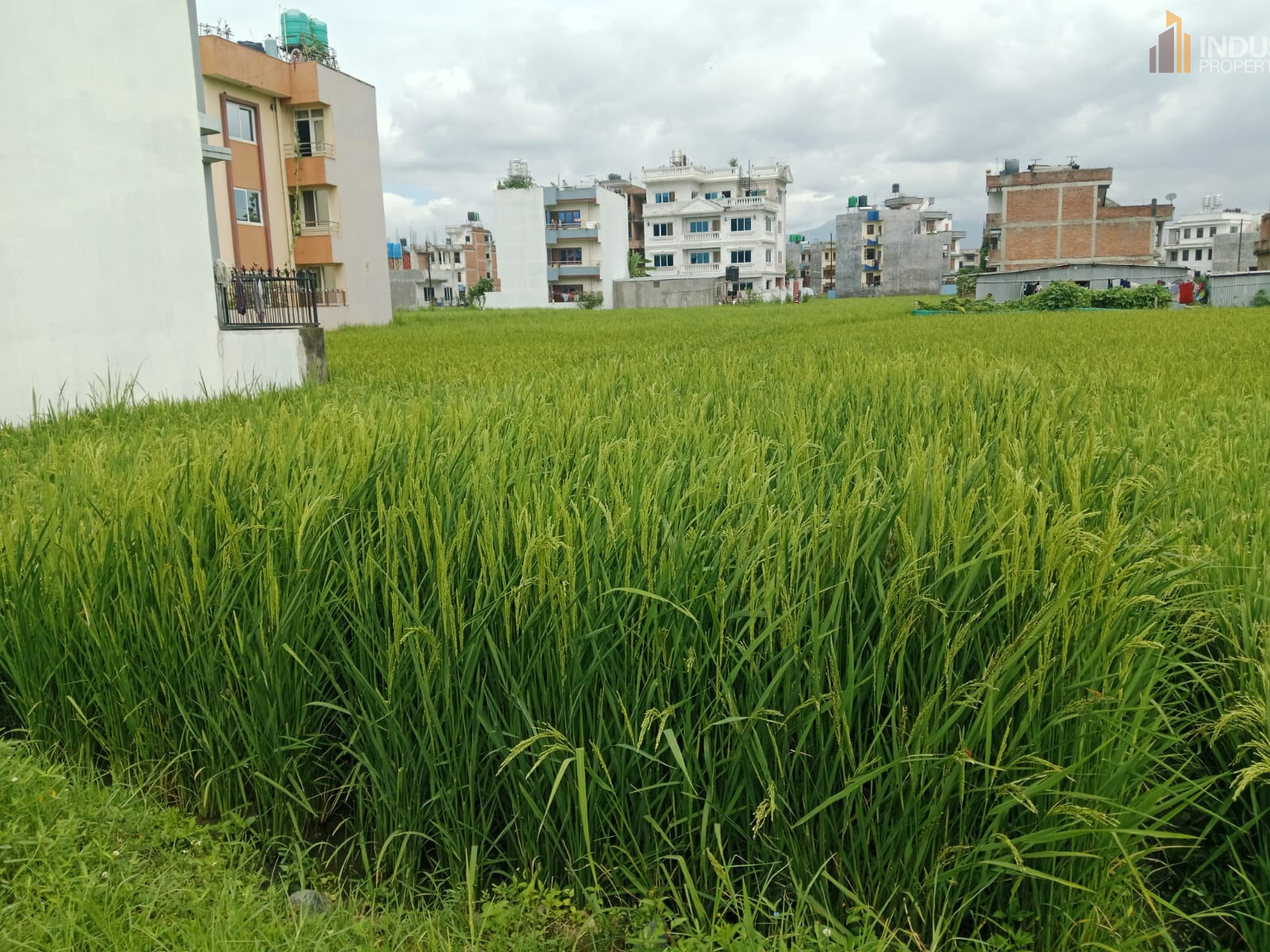 Picture of Mahalaxmi Municipality, Bagmati
